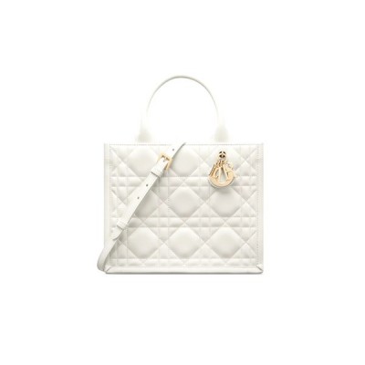 DIOR SMALL DIOR BOOK TOTE M1325OWHP_M030 (26.5*22*14cm)