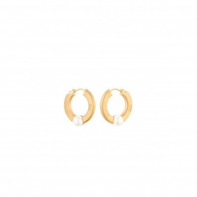 DIOR CD NAVY EARRINGS E1863CDNRS_D301
